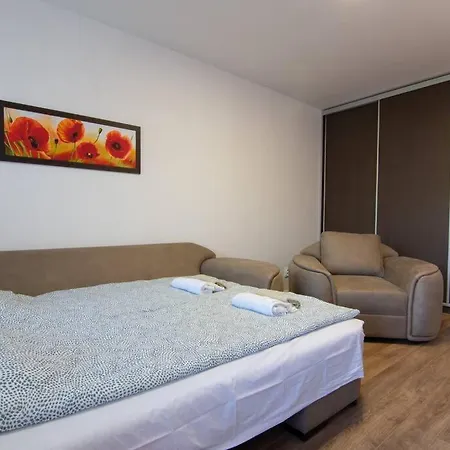 Sava Centar-arena, Ema בלגרד