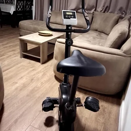 Sava Centar-arena, Ema